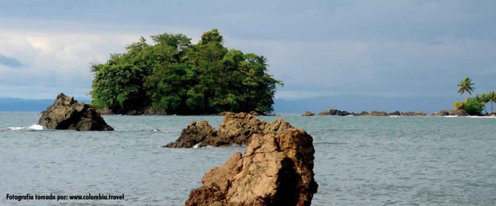 6 razones para realizar turismo ecológico en Bahía Solano