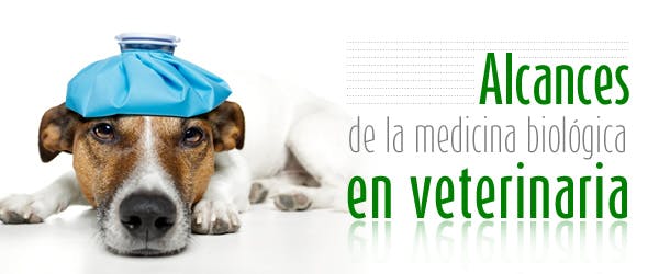 Alcances de la medicina biológica en veterinaria