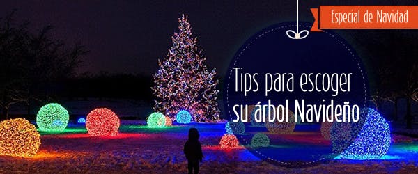 Tips para escoger su árbol navideño