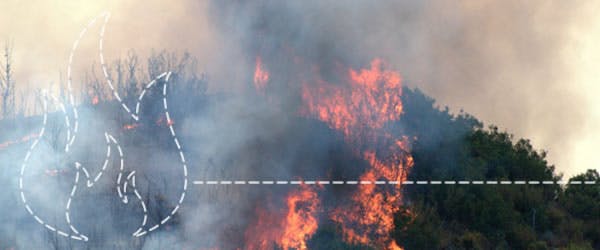 12 acciones para librarnos de los incendios forestarles