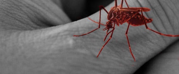 Vacunarse contra el dengue, ¿efectivo?
