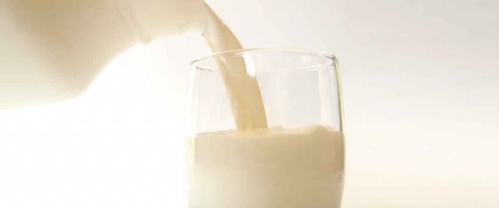 Lo que debe saber de las leches vegetales